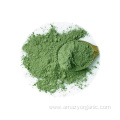 High quality Food grade Vegetable FD Broccoli Powder